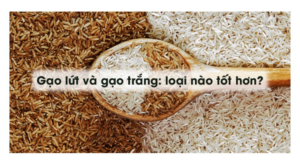 Gạo lứt và gạo trắng: loại nào tốt hơn? - Nồi cơm điện Cuchen chính hãng Hàn quốc